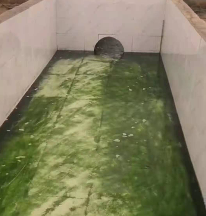 QQ圖片20230221103535